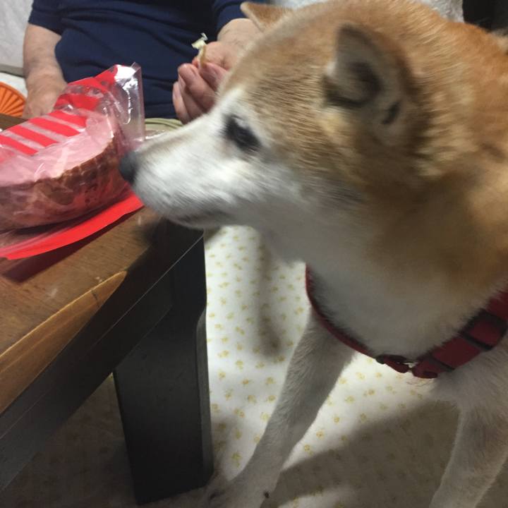 063224b3 ce91 4f9b 976a 9943f588cb53