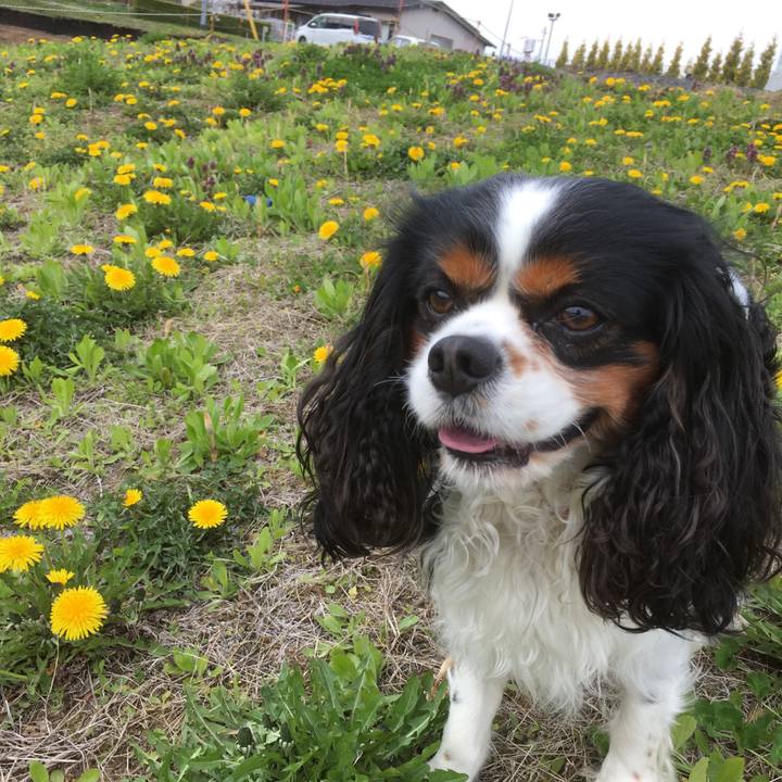 0632cbd9 38d8 4d7a 81a2 13fdea139104