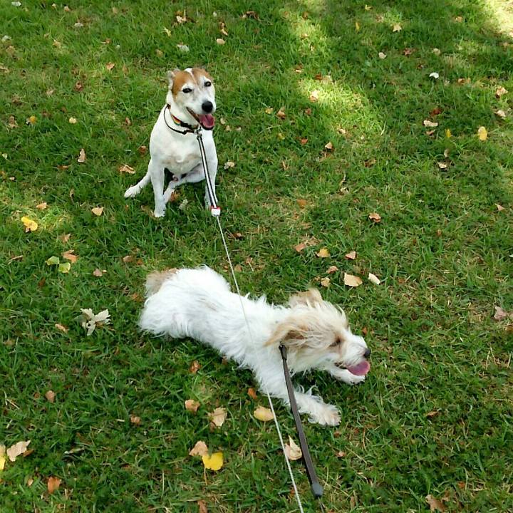 0632ecd5 4dda 4eb4 92e5 7d9294ef5b04