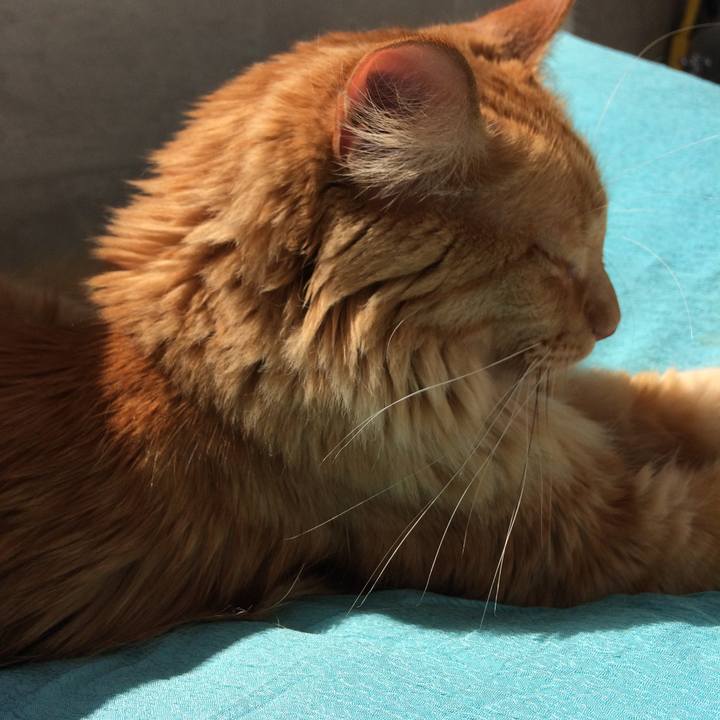 0632f60e d78f 44e7 8497 59c18ce6c150