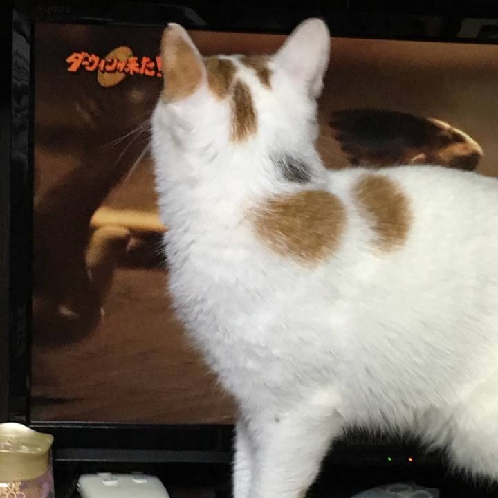 06336eed 8020 4e3e 9060 f0e69a275cf4