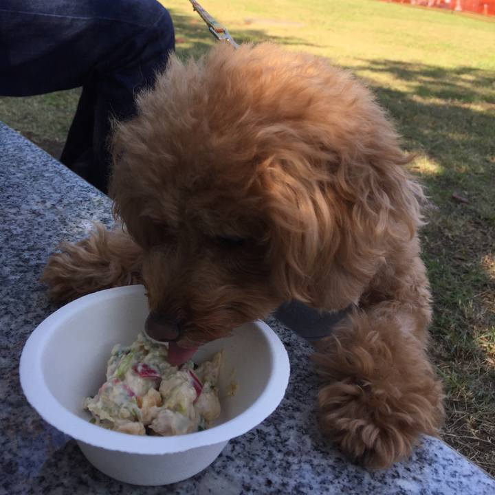 0633bd7f f8e6 4157 8915 e4c5e39430e3