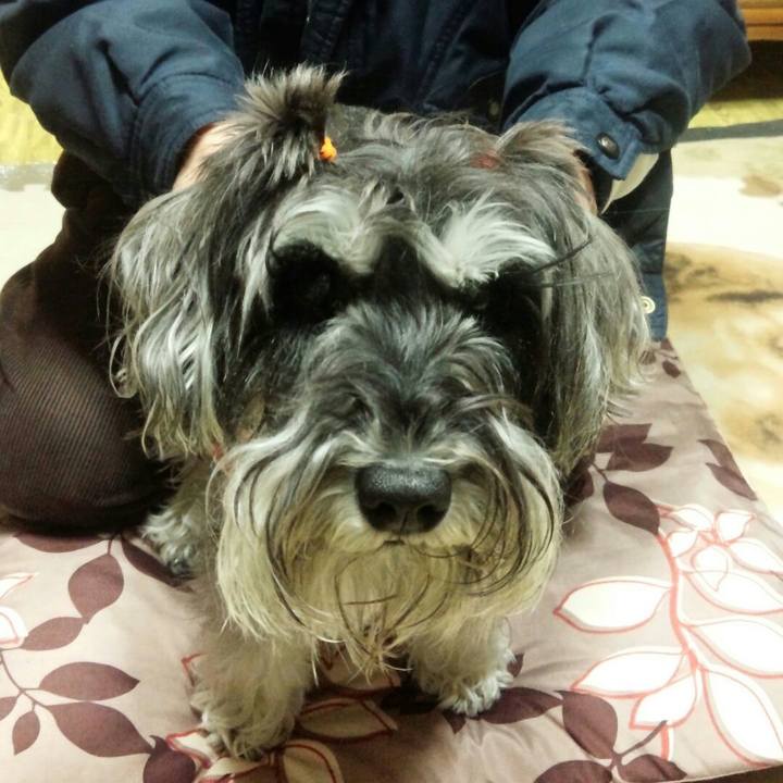 0634a243 3694 491f aa2f 7de8b39e3b76