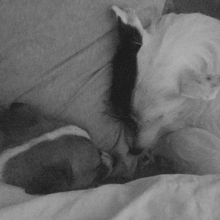 0634cb25 afa8 4bca 9bbd 8ffec48dba93