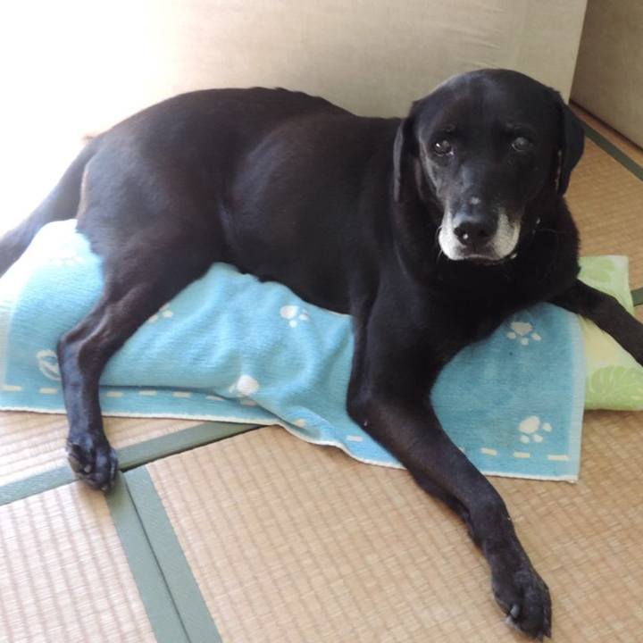 0635d1a4 96cb 4b6b a3bd cb749a8c99fd