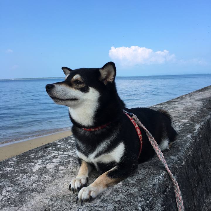 06366939 8bc2 4cca bab4 bc07f5c3b5a8