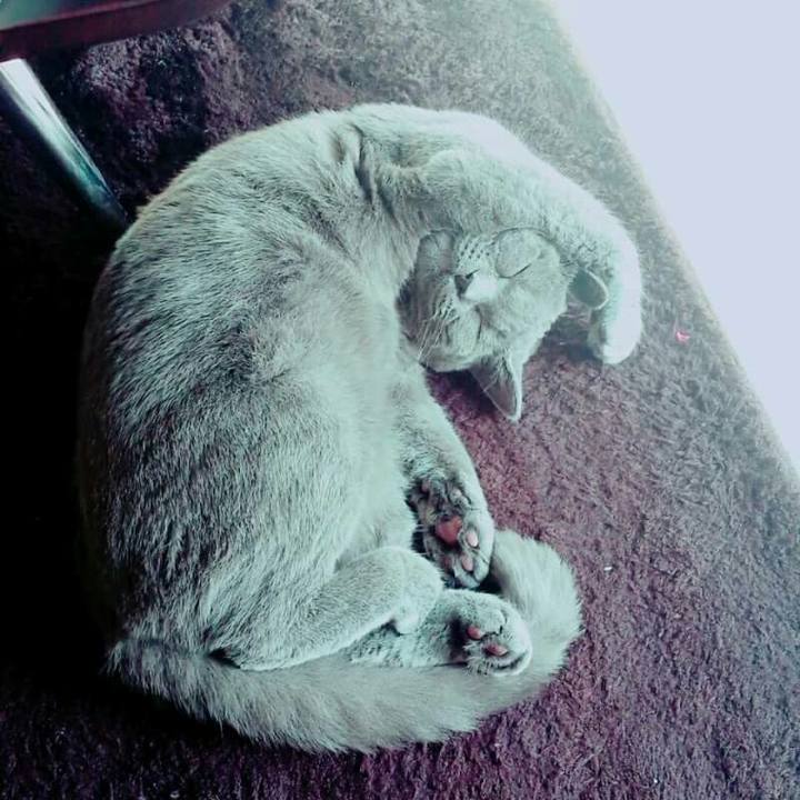 0636dc31 d8a6 4504 9174 d50b13cac4e0