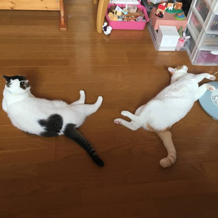 0636e230 611c 4a08 8e92 506a04e0d047