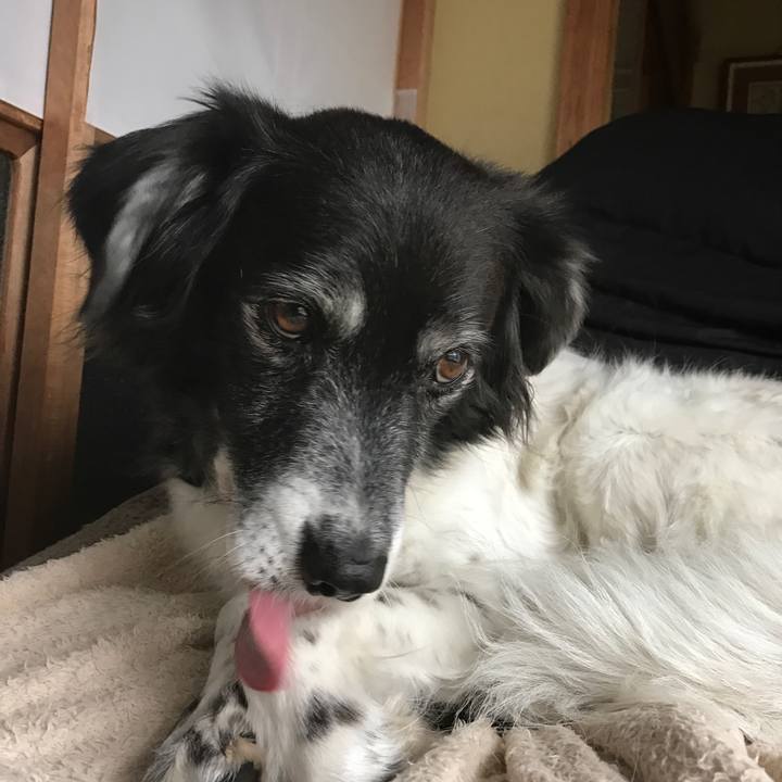 063710b0 59a5 47c7 83f7 2dc7a0b2d52c