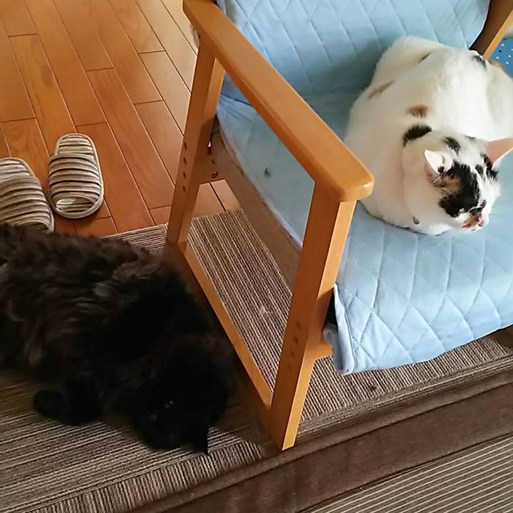 0637937e 575e 48db 8872 3e6cd1a3e511