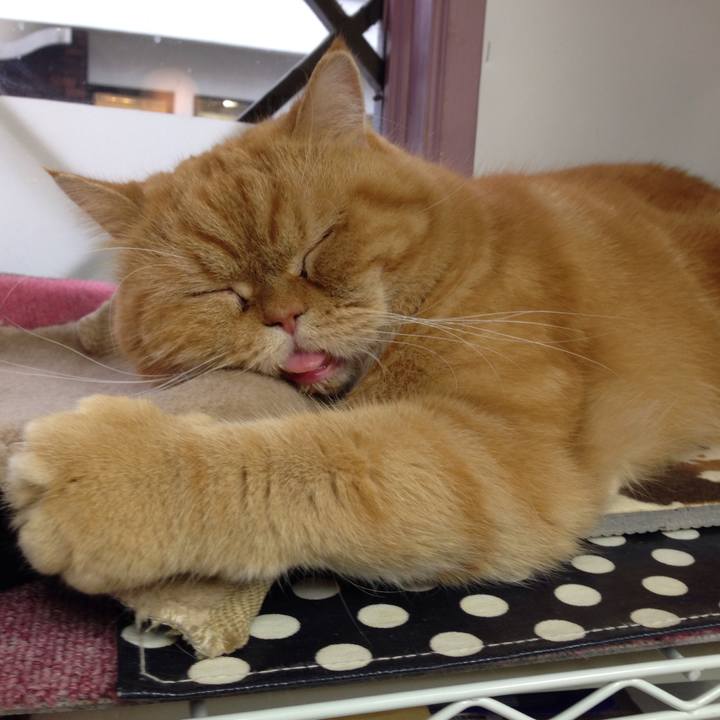 063796ed 32d6 43dc b1da 4bfd2faf49fc