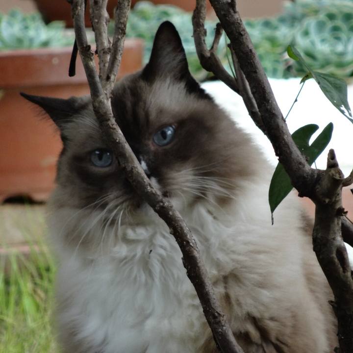 0637a423 bfdb 459b ab75 6b6122767c08