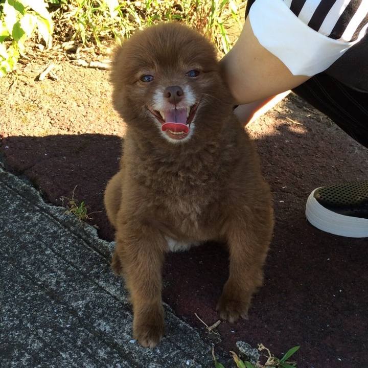 063843dd 0db2 4222 84e6 502d650d4604