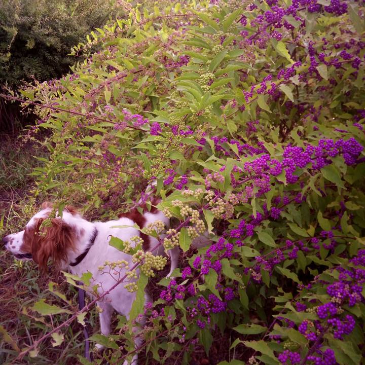 063903ba 1380 4084 946a 21462c5b63ad