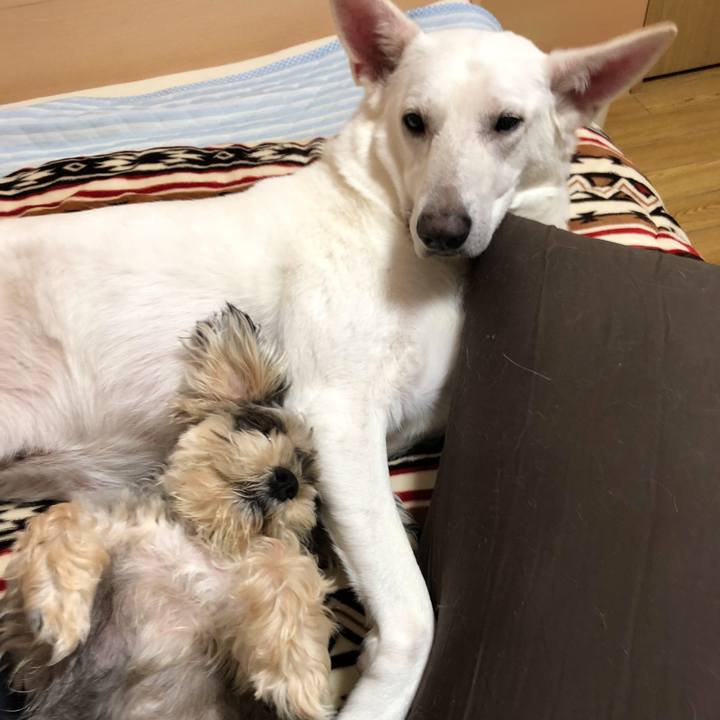 06392301 ff73 4fe7 9b6a 8738e6cc0bf7