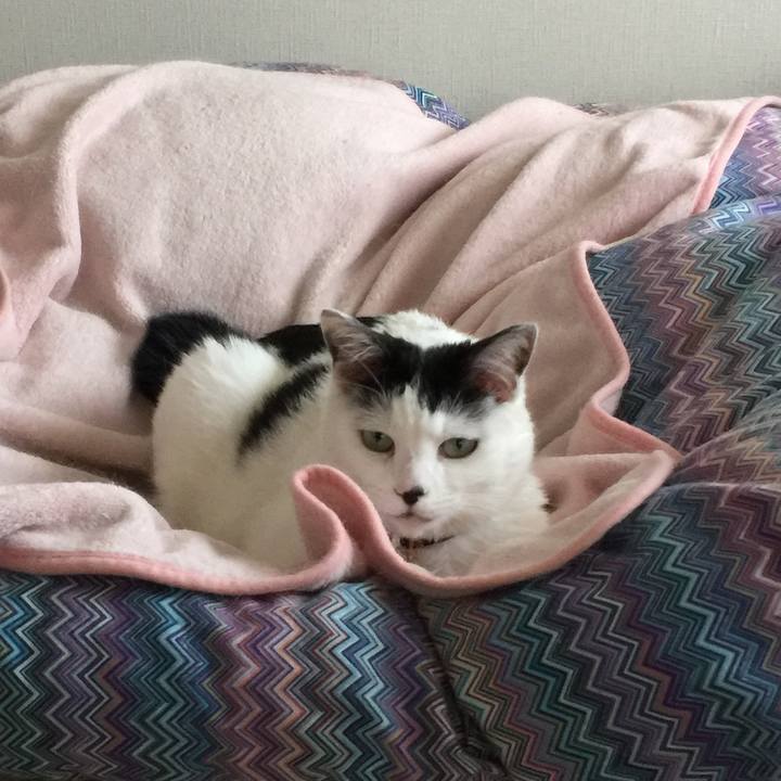 0639438f 1bbe 4159 87cf a93c5dd43b26