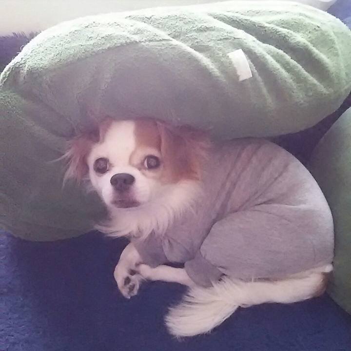 06394445 5586 4759 98d6 d58bdce501f6