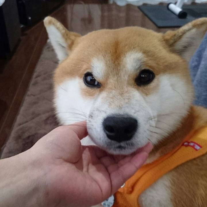 0639a114 f2d0 4ef8 9cb7 058cb67f3600