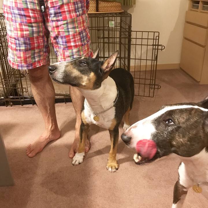 0639d70b 20c8 465c b79a f1ad2107f810