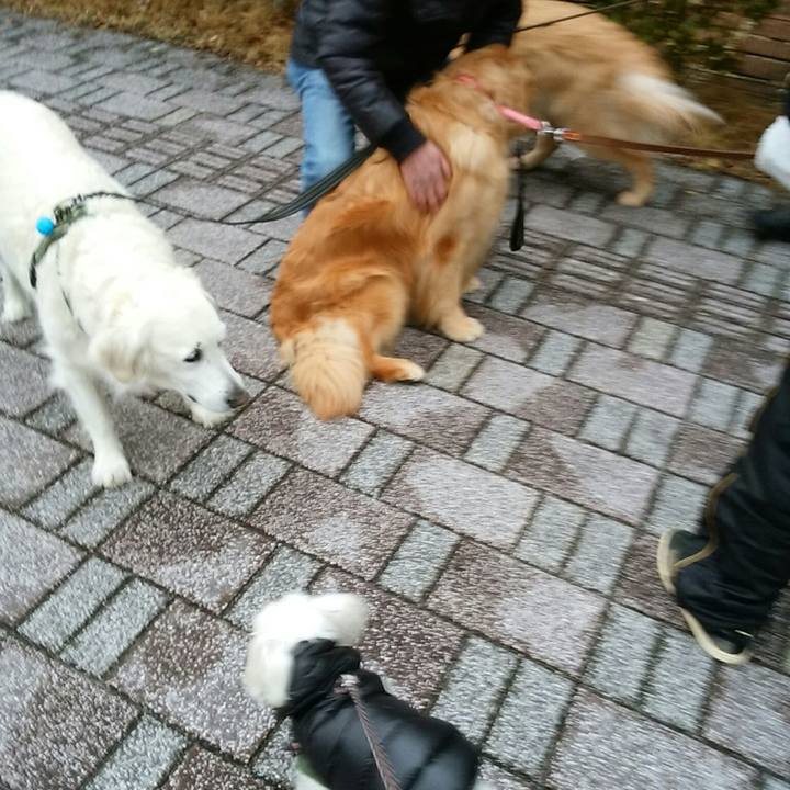 063afcbf c36d 4618 83bd bc2af60c46b6