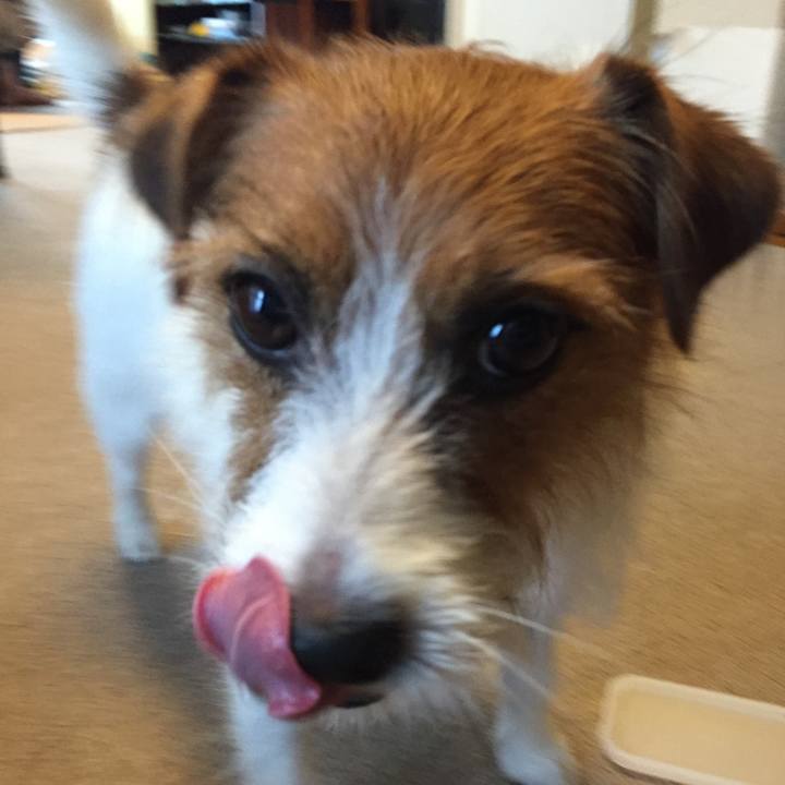 063b0a7c 4f34 4402 b0e7 ab567967ed57