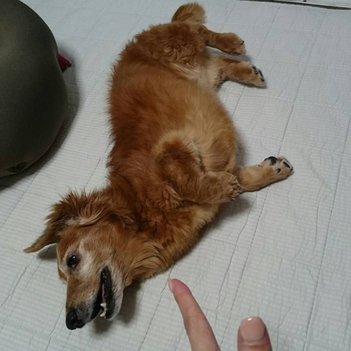 063b2df4 a4ae 4abc ba88 10aed2d28ca4