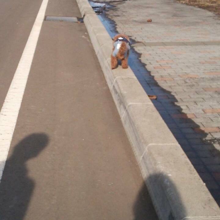 063cb62b e1f8 4f57 b690 acb404a7d36e