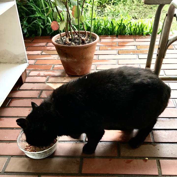 063cf125 5028 47c9 ba8f 9d530a27e141