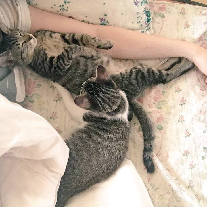 063e1c6d 78e6 42bd 8f8d 76d8adc64964