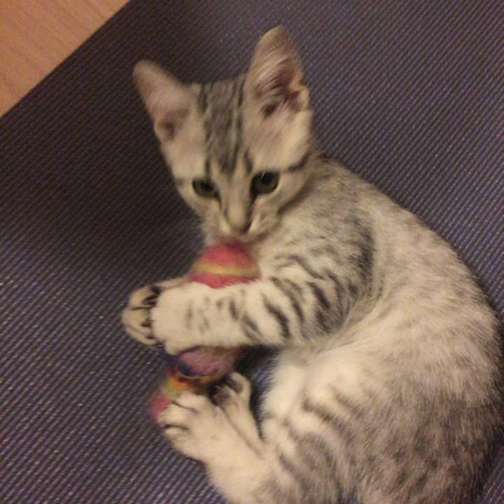 063ed248 7a86 4ee1 9a15 e051304d66a7