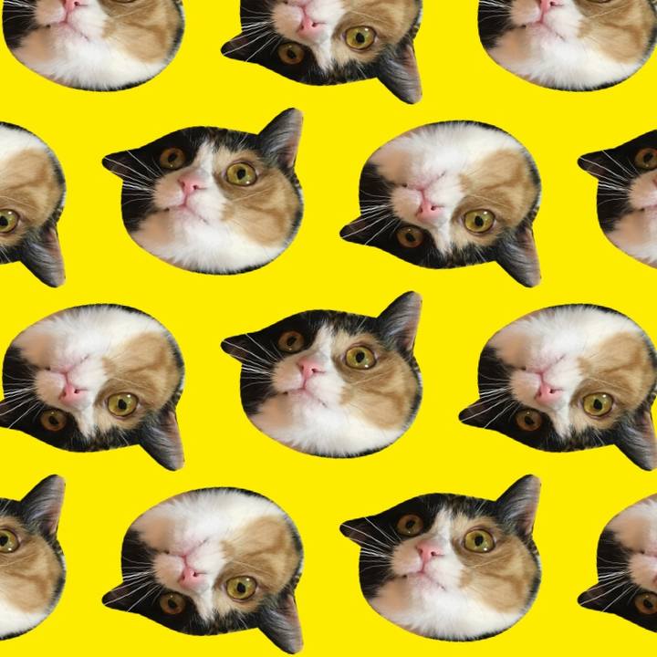 063efd1e a8e7 48a8 94e3 6e3ee2f12659