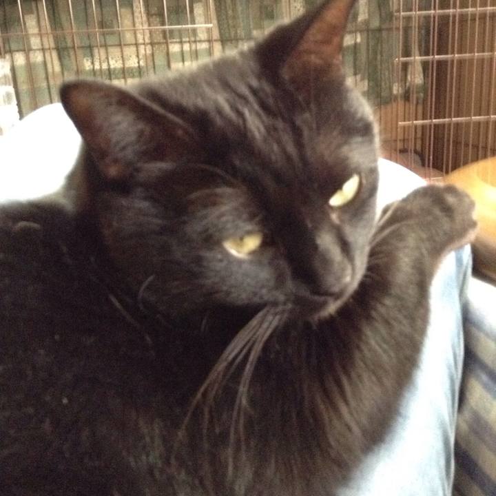 063f48be aa00 40e6 8bd1 07e50d49171b