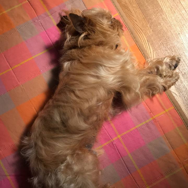 063fd053 653a 4aec a822 10f280afa570