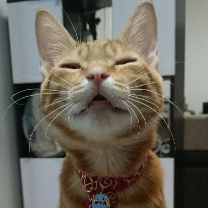 0640850b dc4f 4791 aa8e 3eb449376a08