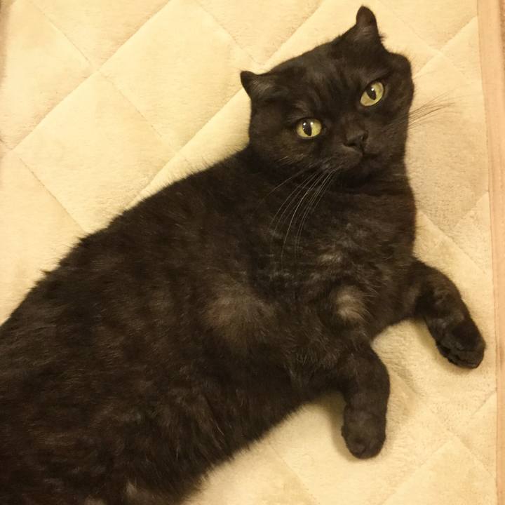 064170df ccac 487a b85e 6a47dcda013e