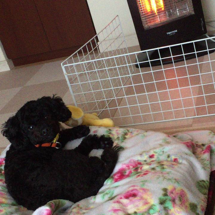 0641c8c8 3165 4aec 91a4 c52836dac173