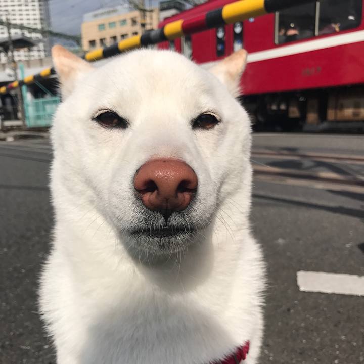 06423857 ee7e 42e0 94b9 a52bccd45285