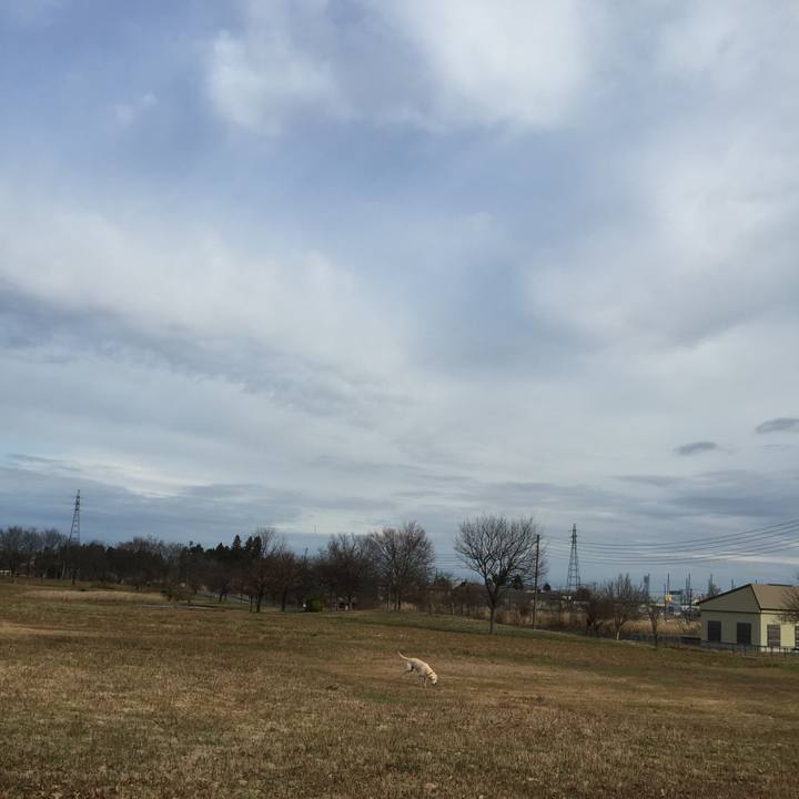 0642388c d43f 4f20 87c6 62fb76399e8d