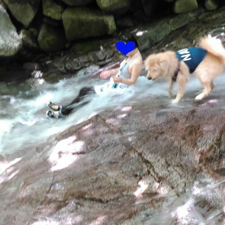 064241e5 2bd3 4bd4 aec8 ce3d86dfe39e