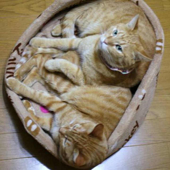 06433cf7 130d 4079 8122 247bdf081b7f