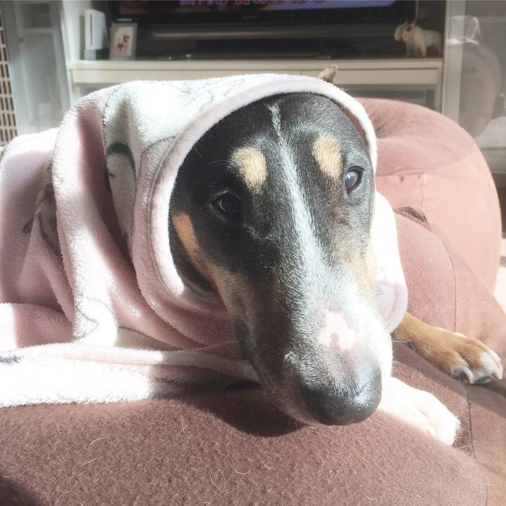 0643c451 9c1a 4b60 b45b 7f5a4a54468f