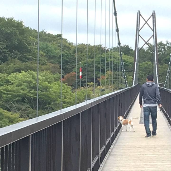 0643d9c0 5cc1 45bf 94f6 e115e73eaa67