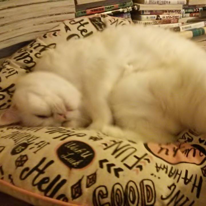 0644c645 f3bc 4f37 9bfa 6e5a4ac204ae