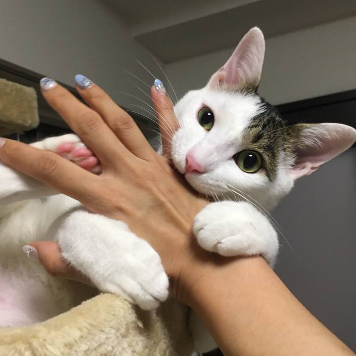 0644c78d 0a0e 4b72 988b 7f24f36aa9c0