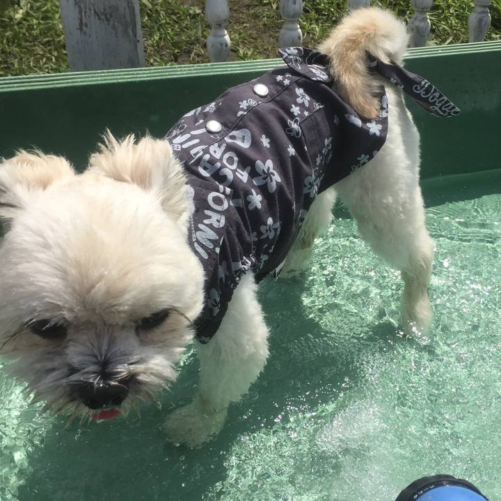 0645575d 983d 44a4 af7a 2fc2dc6820bb