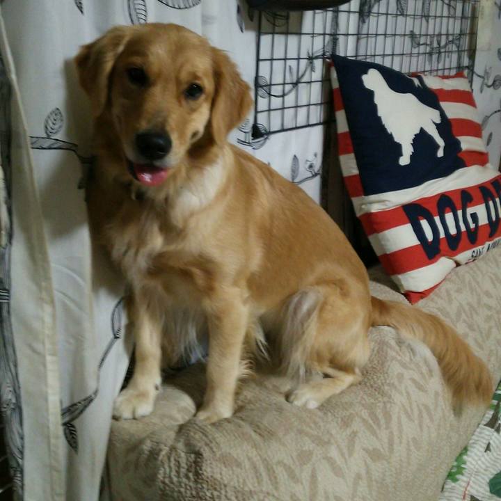 06456dac e7bf 4a83 92ec 838146b57bd3