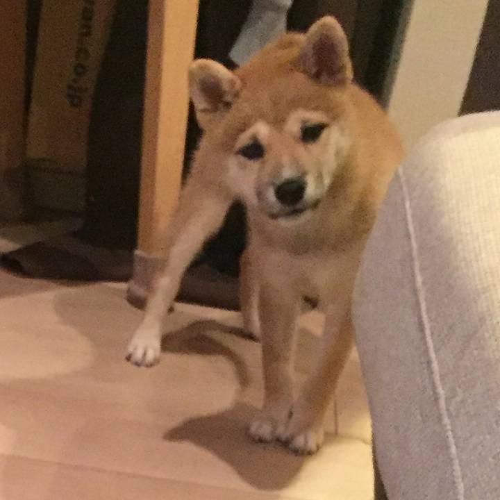 06465166 b142 4b5b 8f90 04ad99f27f4d