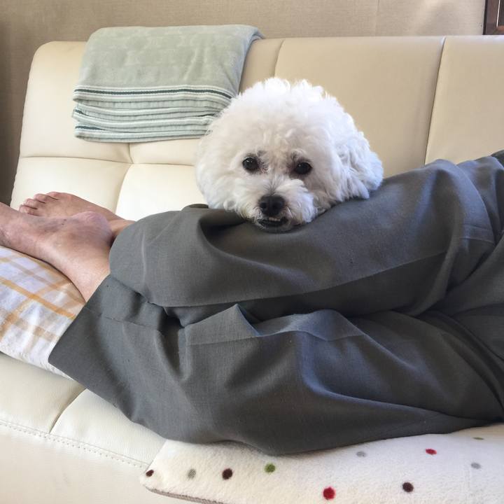 06466d66 4796 4f2a 883b f69dbe9f26f5