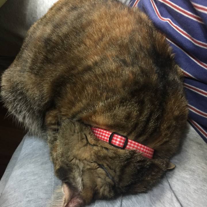 064756fc f0a5 4230 8387 ccc7b28227b0