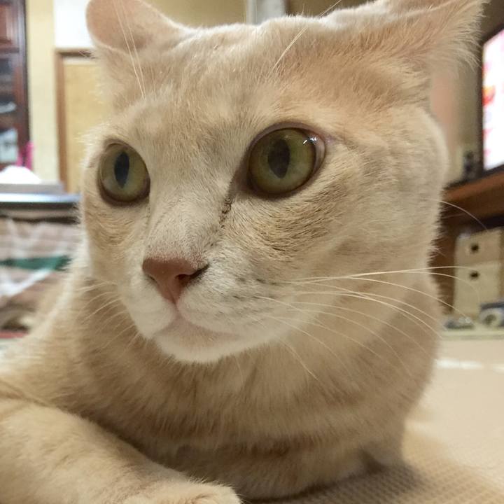 0647a427 b952 4640 bc4f ebc9bf9155da